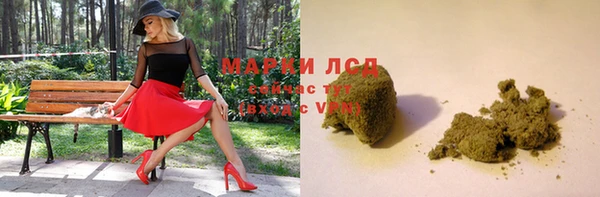 винт Алзамай